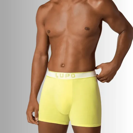 Cueca Lupo Boxer Algodão Com Elastano Masculino 784-065