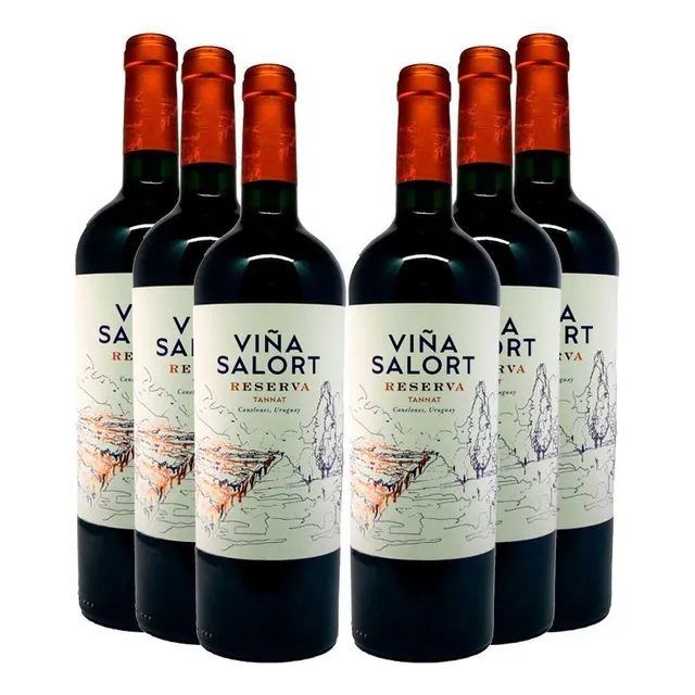 Vino Viña Salort Tannat X6