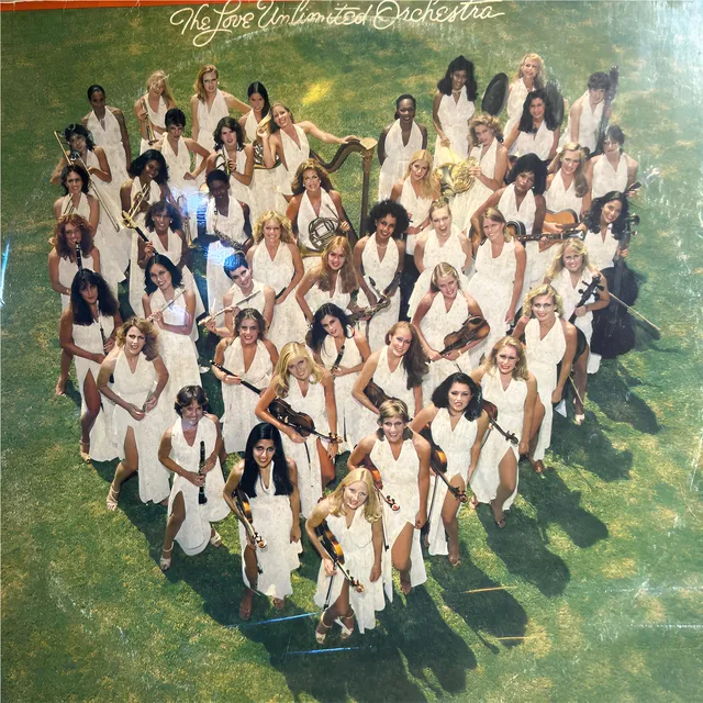 Lp Love Unlimited Orchestra Bayou Vinilo Original 1980