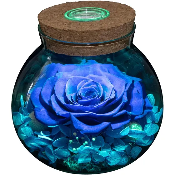 Rosa Eterna Preservada Natural Con Luz En Vidrio