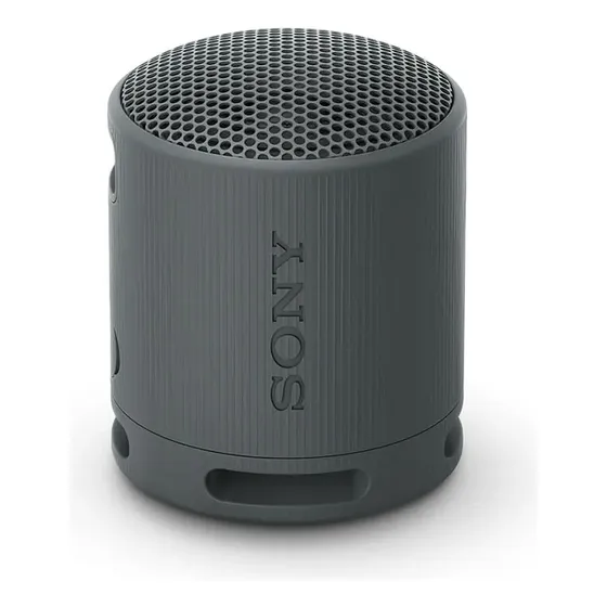Parlante Inalámbrico Portátil Srs-xb100 Negro Sony