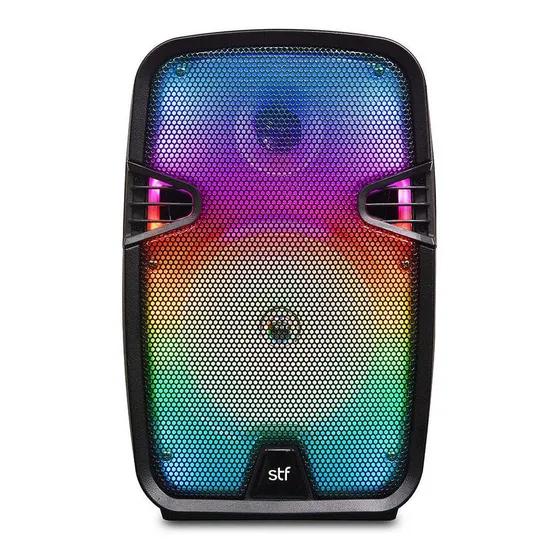 Baffle Bocina Inalámbrica Stf Boom Thunderlight 8 Pulgadas Color Negro