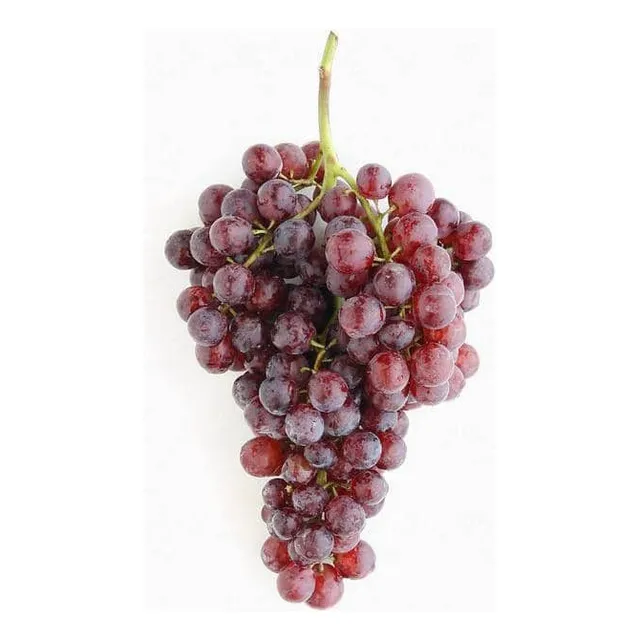 Parra De Uva Moscatel Rosada Árbol Frutal Injertado