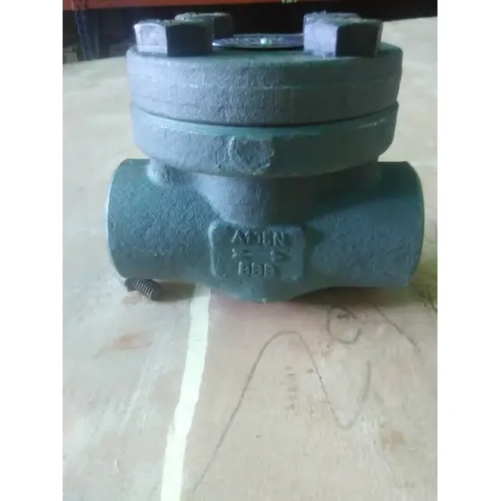 Valvula Check Piston 1/2 3/4 1 1-1/2 2 A105 Acero Al Carbono