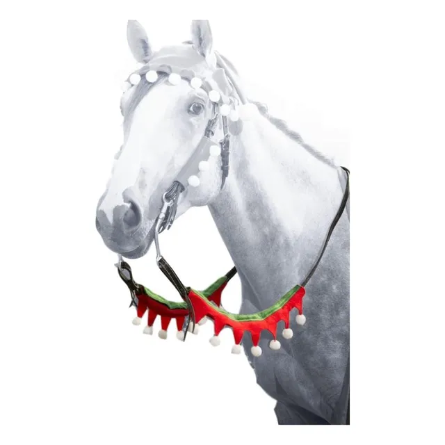 Funda Para Rienda Elfo Jtiough 1 Caballo Verde