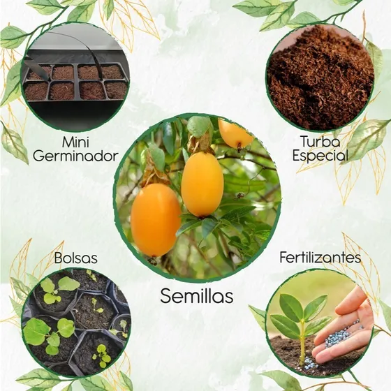 139 Semillas De Passiflora Mollisima + Kit De Germinación