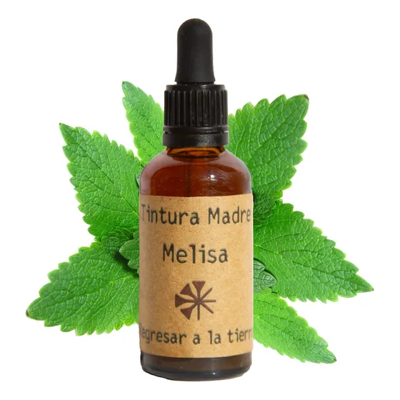 Tintura Madre De Melisa 100ml - Regresar A La Tierra