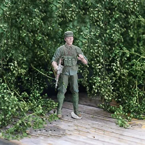 Arbusto Miniatura Modelo Largo Grupo Vegetacion Para