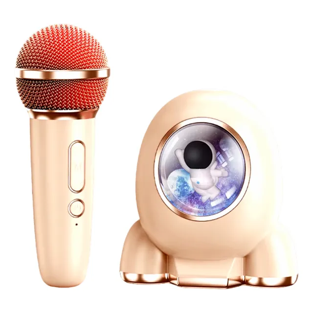 Mini Parlante Con Karaoke Para Niños Con Bluetooth Y Luz Rgb