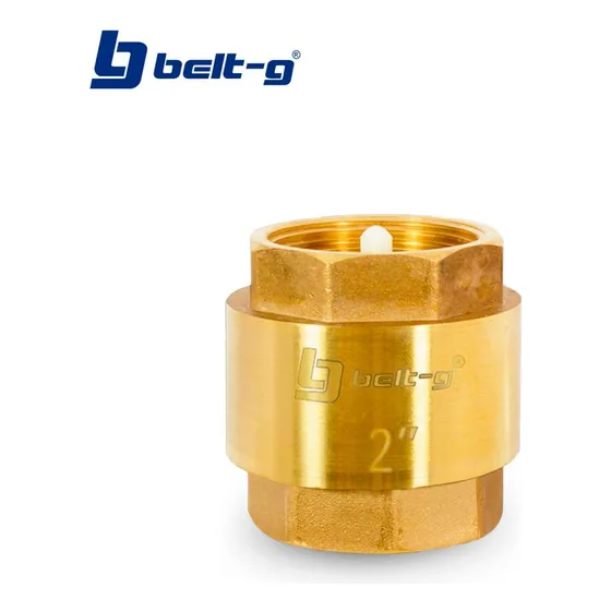 Valvula Check Bronce 2 Pulgadas Tipo Europa Belt-g Tienda
