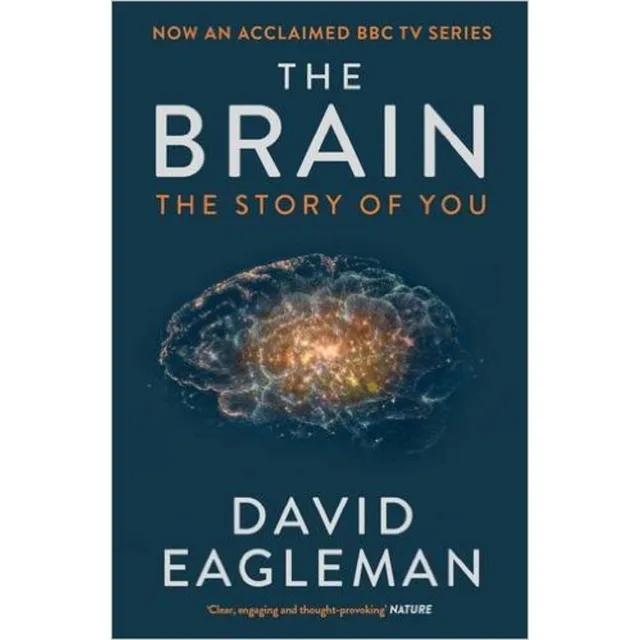 The Brain : The Story Of You - Canongate