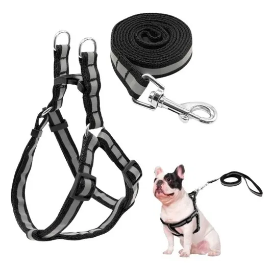 Correa Pechera Para Mascotas Reflectiva Calidad