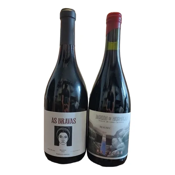 Vino Tinto Meteora Malbec + As Bravas Malbec Ale Vigil