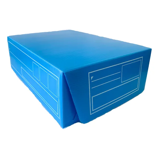 Caja De Archivo Plástica Oficio 12 Cm. X 10 Unidades.
