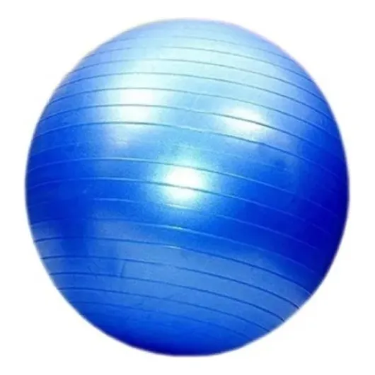 Pelota De Pilates 75cm Aerobics Fitness Yoga