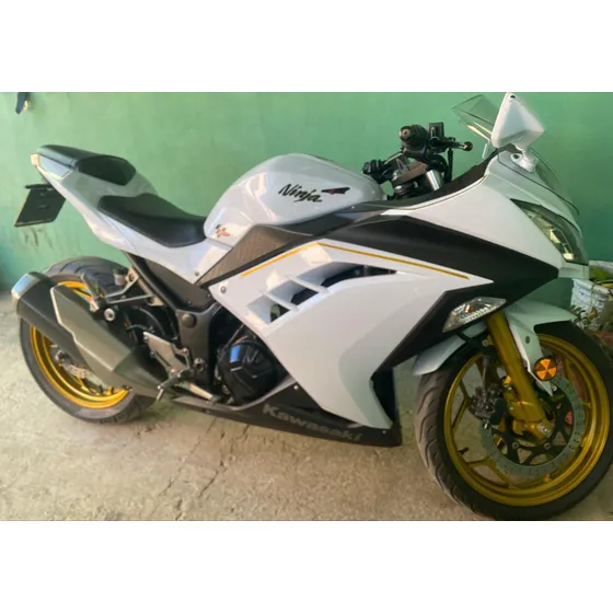 Moto Ninja Kawasaki 300 Cc- 2014- 25.000 Km-