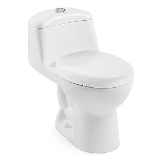 Sanitario Smart Con Sabina