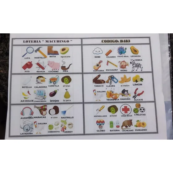 Promocion Loteria Impresa 1000 Cartones