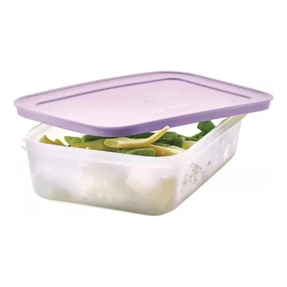 Hermetico Tupperware Practifreezee Frozen 1 L Apto Freezer