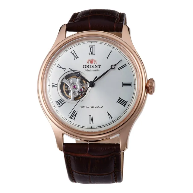 Orient Mens Reloj Automático Analógico Con Correa De 24rny