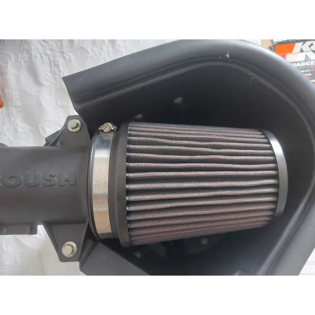 Filtro De Alto Flujo Roush Ford Mustang Gt 2013 Intake