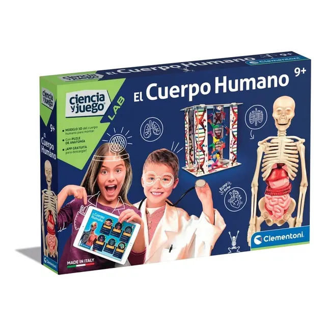 Modelo Anatómico De Cuerpo Humano Educativo Niños Steam
