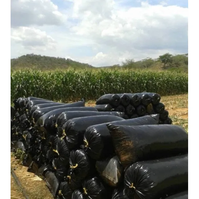 Bolsas Para Silo. Mejor Precio Del Mercado.