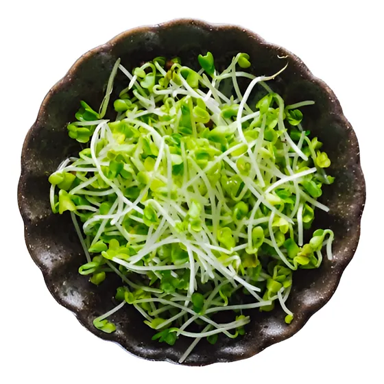 Germinado De Brócoli Orgánico 70g Tarrina Hidropónico