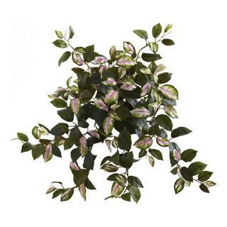 Nearly Natural 6117-s4 Arbusto Colgante Hoya De 21 Pulgadas Nearly Natural 6117-s4 Arbusto Colgante Hoya De 21 Pulgadas
