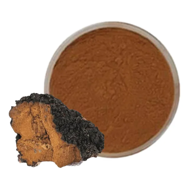 Chaga Extracto Atomizado Polvo Pura 100 Gramos