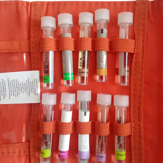10 Fragancias En  Estuche Para  Cartera