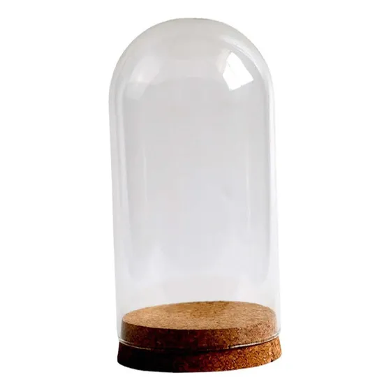 . Vitrina De Cristal Transparente Con Cubierta De 9cmx20cm