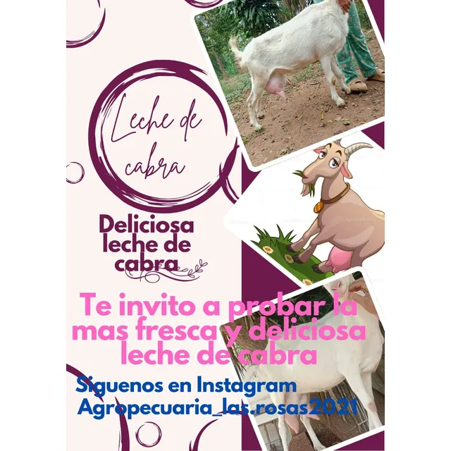 Leche De Cabra