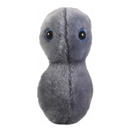 Peluche Gonorrea Neisseria Giant Microbes Bacteria