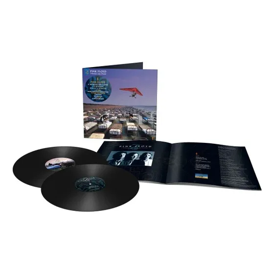 Pink Floyd  A Momentary Lapse Of Reason (remixed & Updated)