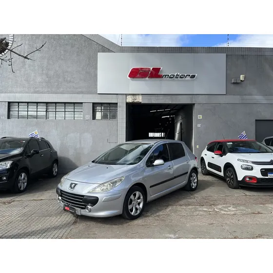 Peugeot 307 1.6 Xs 110cv