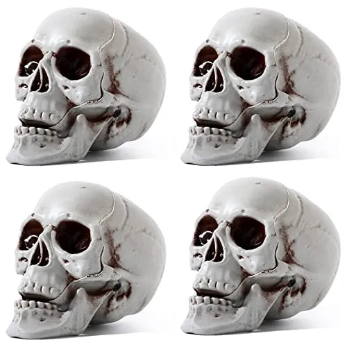 4 Pcs Halloween Human Cráneo Modelo 5 Pulgadas Alto Tvj9n