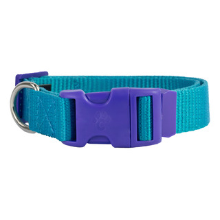 Collar Pro Para Perros Medianos Ajustable Chemanimals Collar Pro Para Perros Medianos Ajustable Chemanimals