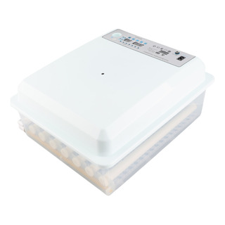 Incubadora De Ovos 36 Ovos White Square Chicken Hatcher Incubadora De Ovos 36 Ovos White Square Chicken Hatcher