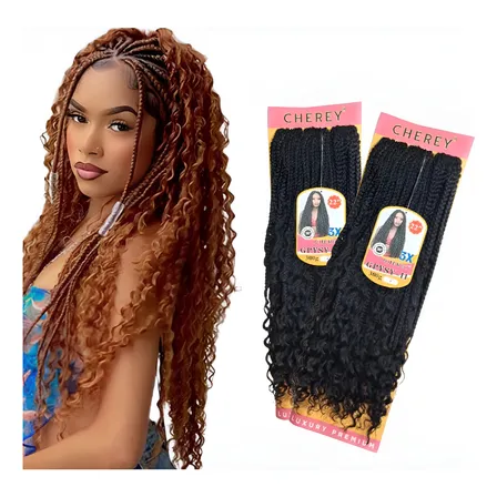 Gypsy Braids Crochet Tranças 2 Pacotes 600 Gramas