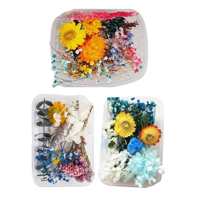 Flores Secas Para Moldes Resina Encapsulado Naturaleza Seca