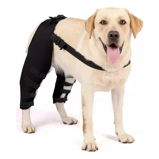 Protector De Patas Traseras Para Perro Mascota, Rodillera Aj