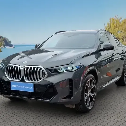 BMW X6 2026 Xdrive 40i 5p 4x4 3.0 Aut 2026 en Lo Barnechea - RM (Metropolitana) usado