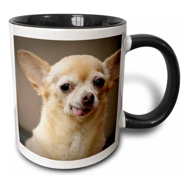 Danita Delimont Â Perro Chihuahua Desdentado Santa Fe Us32