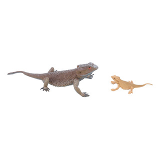 Figura Educativa De Juguete Lizard Life Cycle Learning Figura Educativa De Juguete Lizard Life Cycle Learning