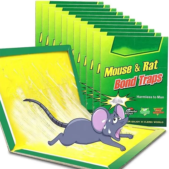 Trampa Raton Pegajosa Adhesiva X10 Control Atrapa Pegamento
