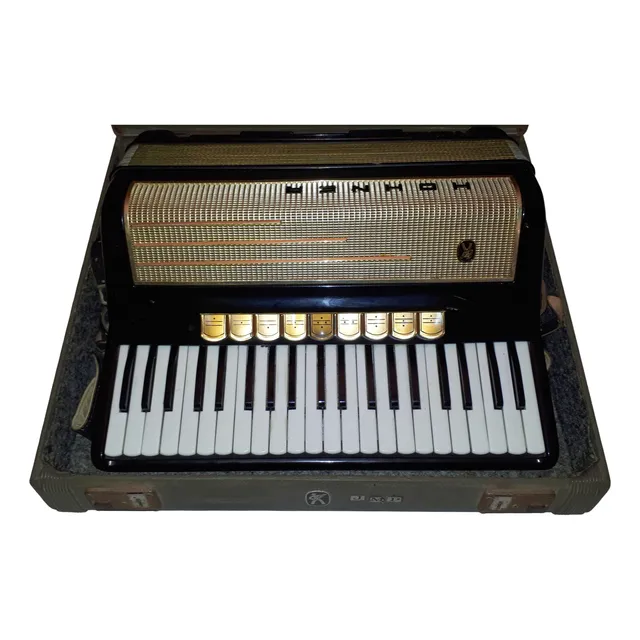 Acordeon Hohner Pirola Ivp Usado De 120 Bajos