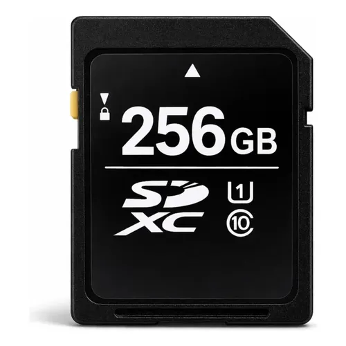 Cartão De Memória Sandisk Nintendo Switch Sdsqxao-256g-acdz2