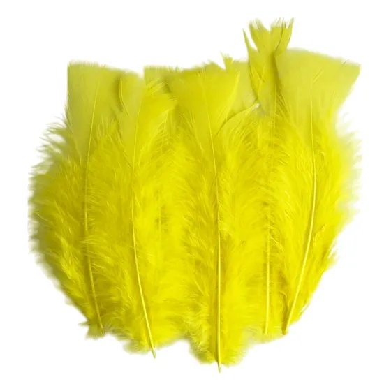 Plumas Para Decoración Paquete 50 Unidades