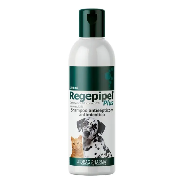 Regepipel Shampoo Perro Gato Antiséptico Antimicótico Tps Fragancia Neutra
